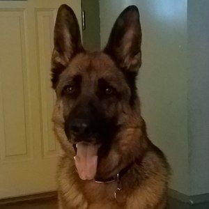 Meet your Posher, Mary